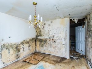 Orlando Water Damage Restoration